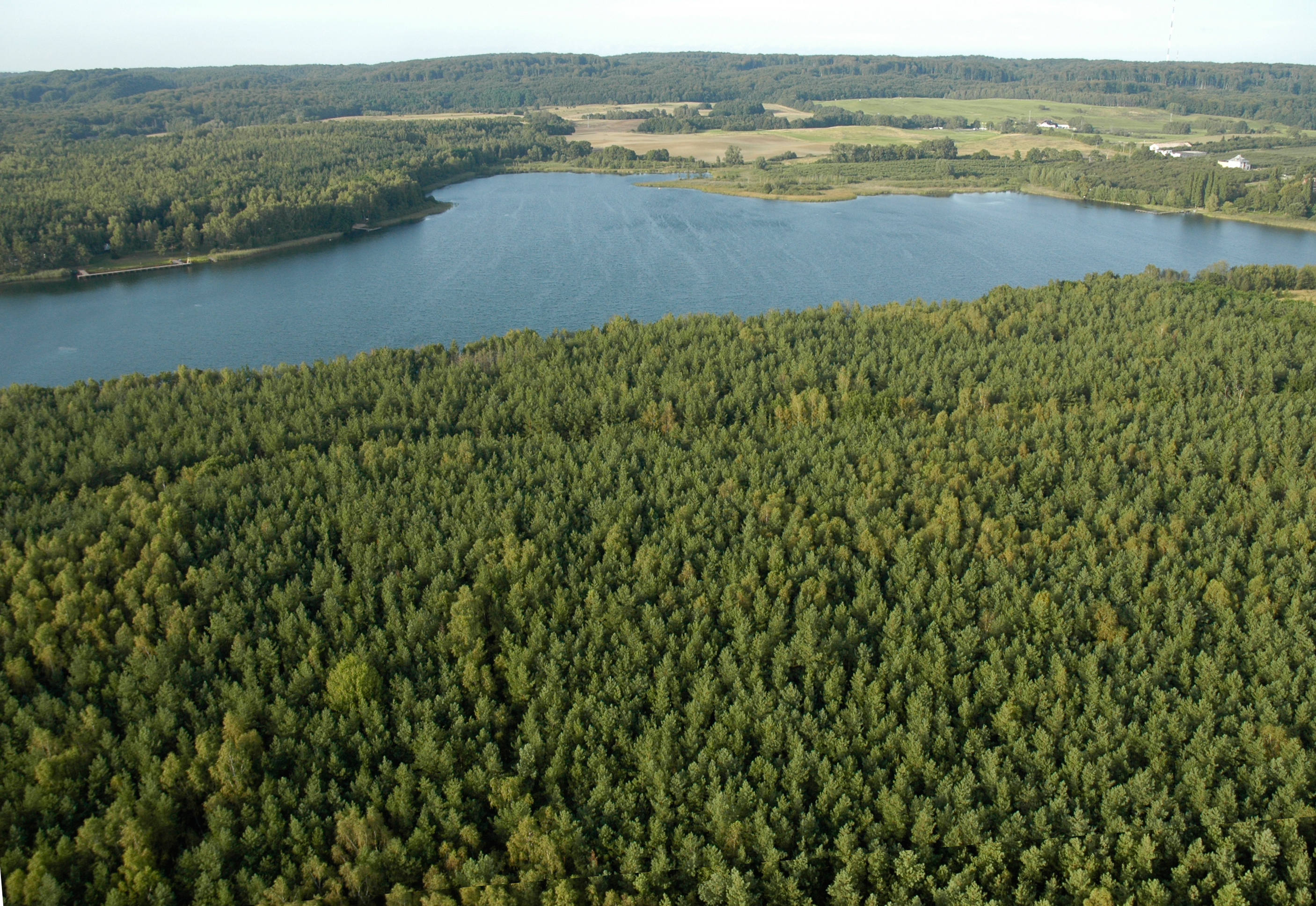 Jezioro Binowo fot. Z. Pajewski